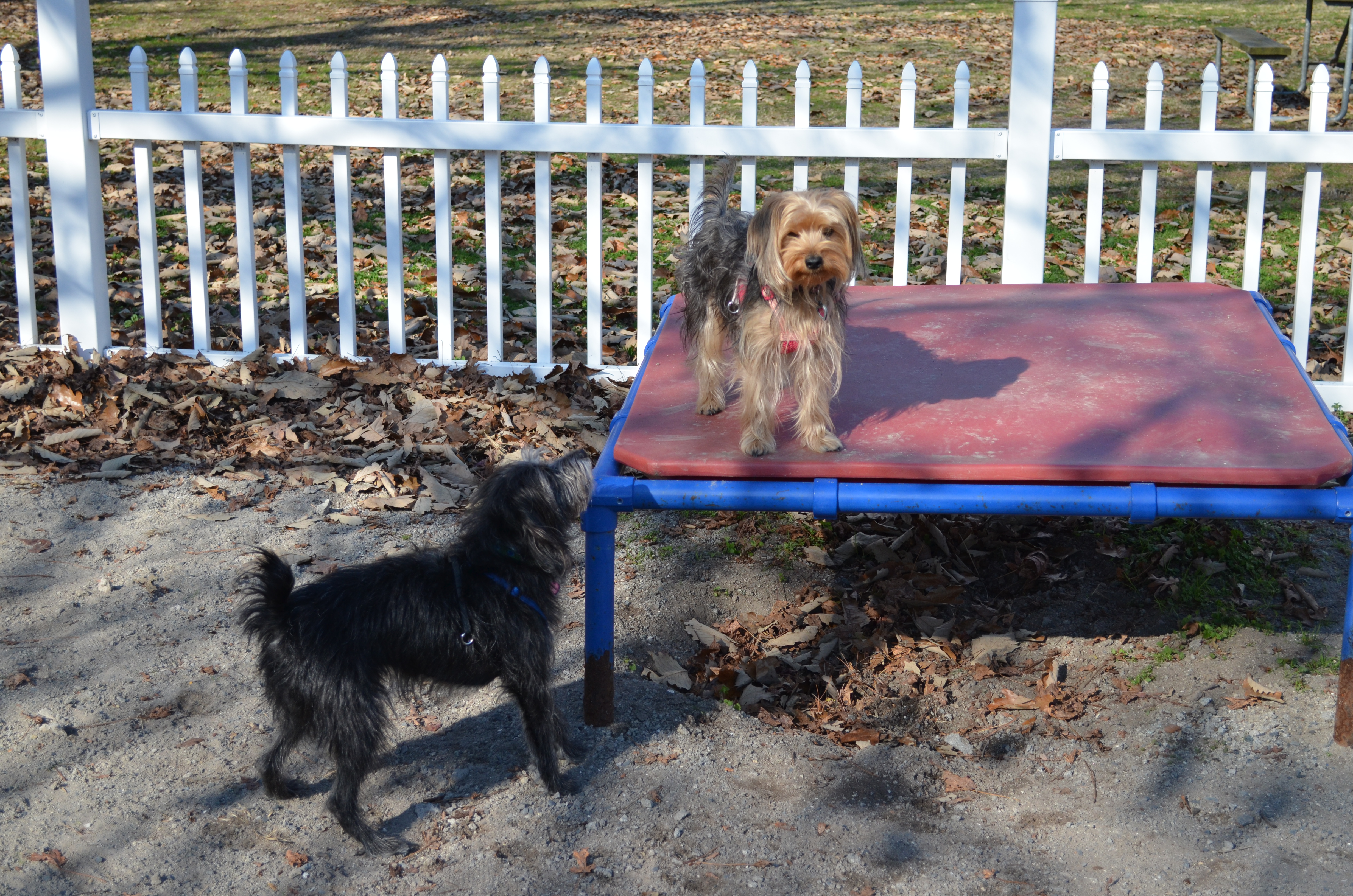 ./2017/21 - Myrtle Beach/ADSC_0790.JPG